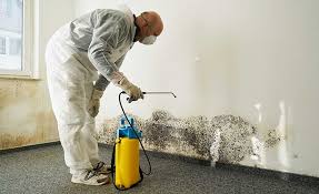 Mold Remediation for Rental Properties in Harrisonville, MO